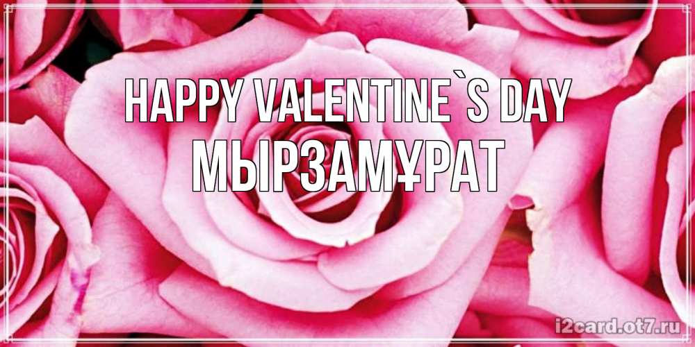 Greetings card с именем, Мырзамұрат Happy Valentine`s Day роза розовая на день Святого Валентина Greetings with text for free download 